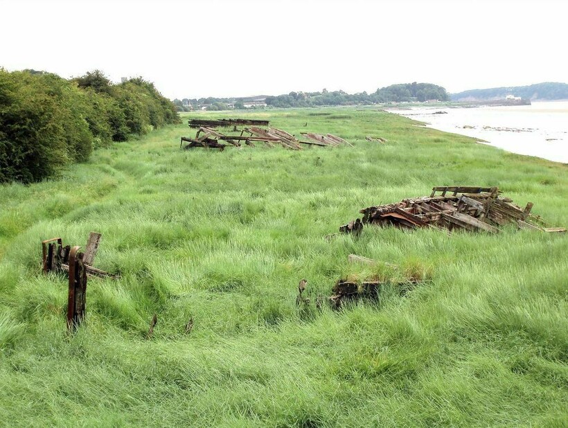 Фото: R ~ P ~ M/flickr.com Фото: R ~ P ~ M/flickr.com