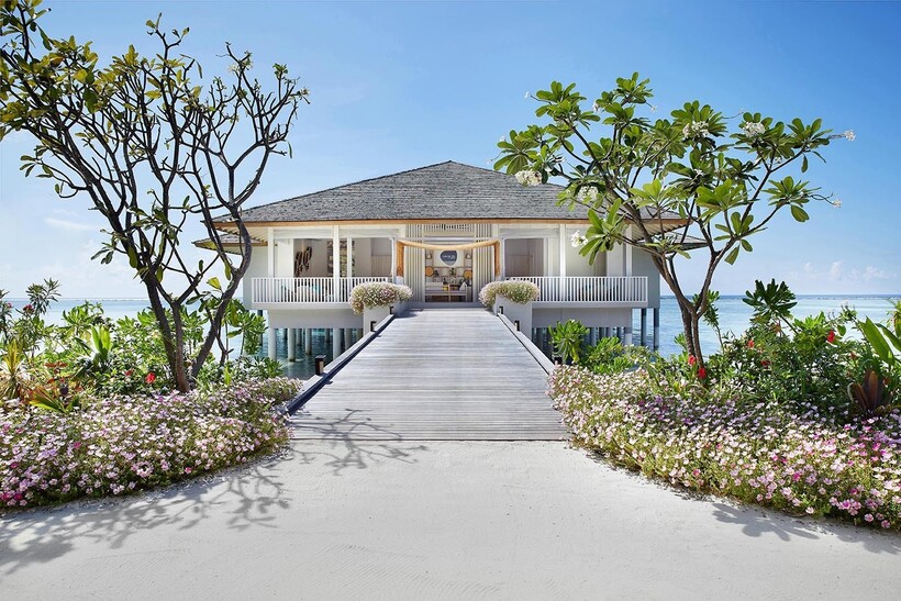 Блог - Le Méridien Maldives Resort & Spa — отдых в гармонии с природой Le Méridien Maldives Resort & Spa — отдых в гармонии с природой