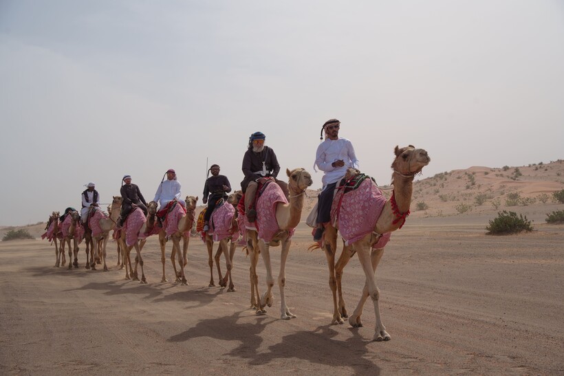 В ОAЭ завершилась первая в истории российско-арабская экспедиция на верблюдах