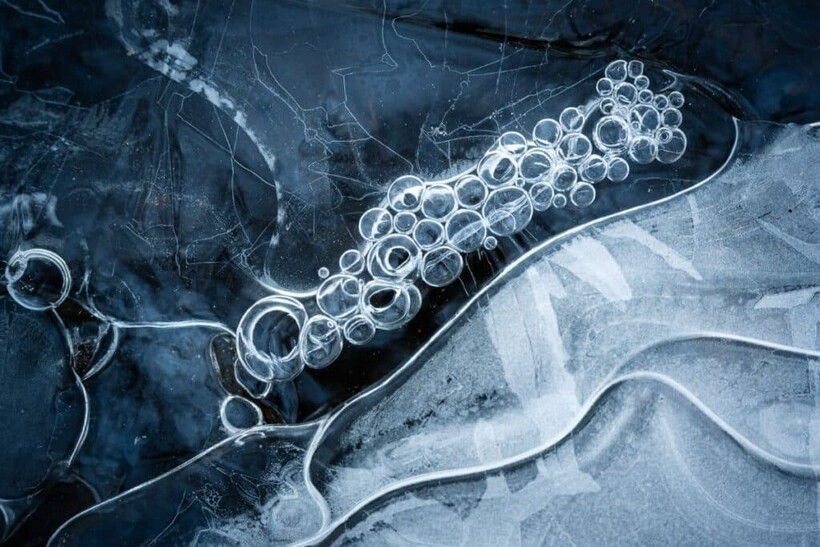 14 чарующих фото зимы, которая прекрасна в каждой детали