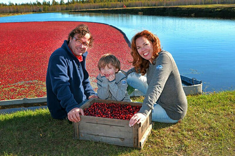 Блог - Ягодное море: 15 интересных фото, как выглядит сбор клюквы Ягодное море: 15 интересных фото, как выглядит сбор клюквы