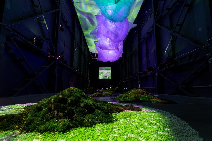 Фото: vk.com/tseh.space Фото: vk.com/tseh.space