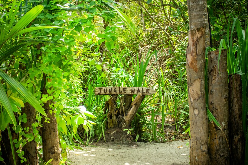 Блог - Большие огни джунглей в Dhigali Maldives Большие огни джунглей в Dhigali Maldives