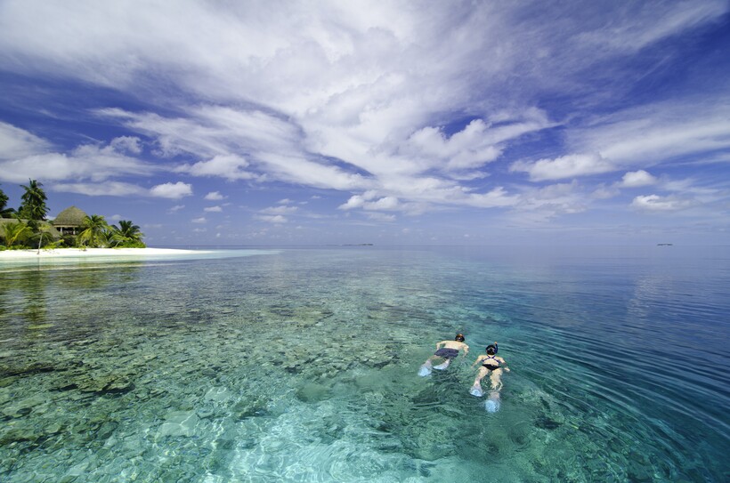 Блог - Белый танец с мантами и акулами в Kandolhu Maldives Белый танец с мантами и акулами в Kandolhu Maldives