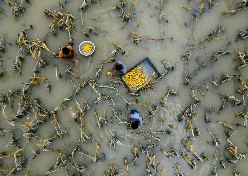 Блог - 12 снимков из разных уголков мира о том, что еда ― это часть культуры 12 снимков из разных уголков мира о том, что еда ― это часть культуры