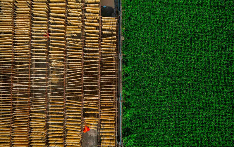 Блог - 12 снимков из разных уголков мира о том, что еда ― это часть культуры 12 снимков из разных уголков мира о том, что еда ― это часть культуры