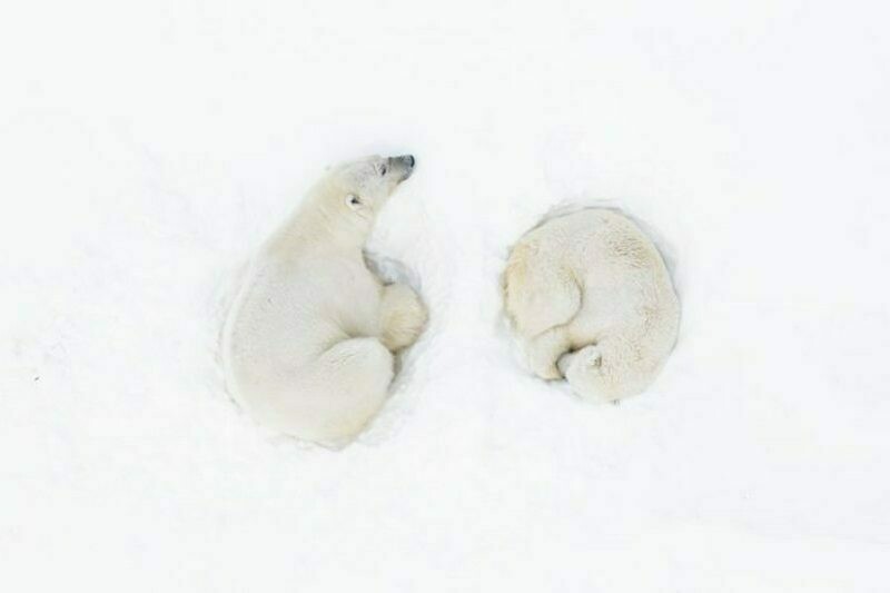 Florian Ledoux Florian Ledoux