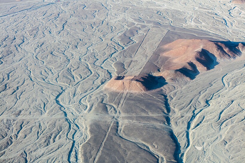 Животные, цветы и гуманоиды: найдено больше 300 геоглифов на плато Наска