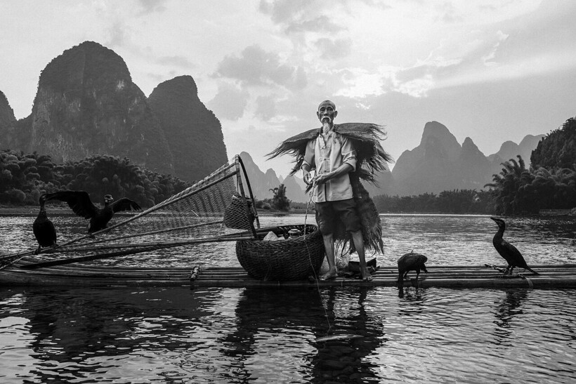 Китайский рыбак. Фото: wikipedia.org Китайский рыбак. Фото: wikipedia.org