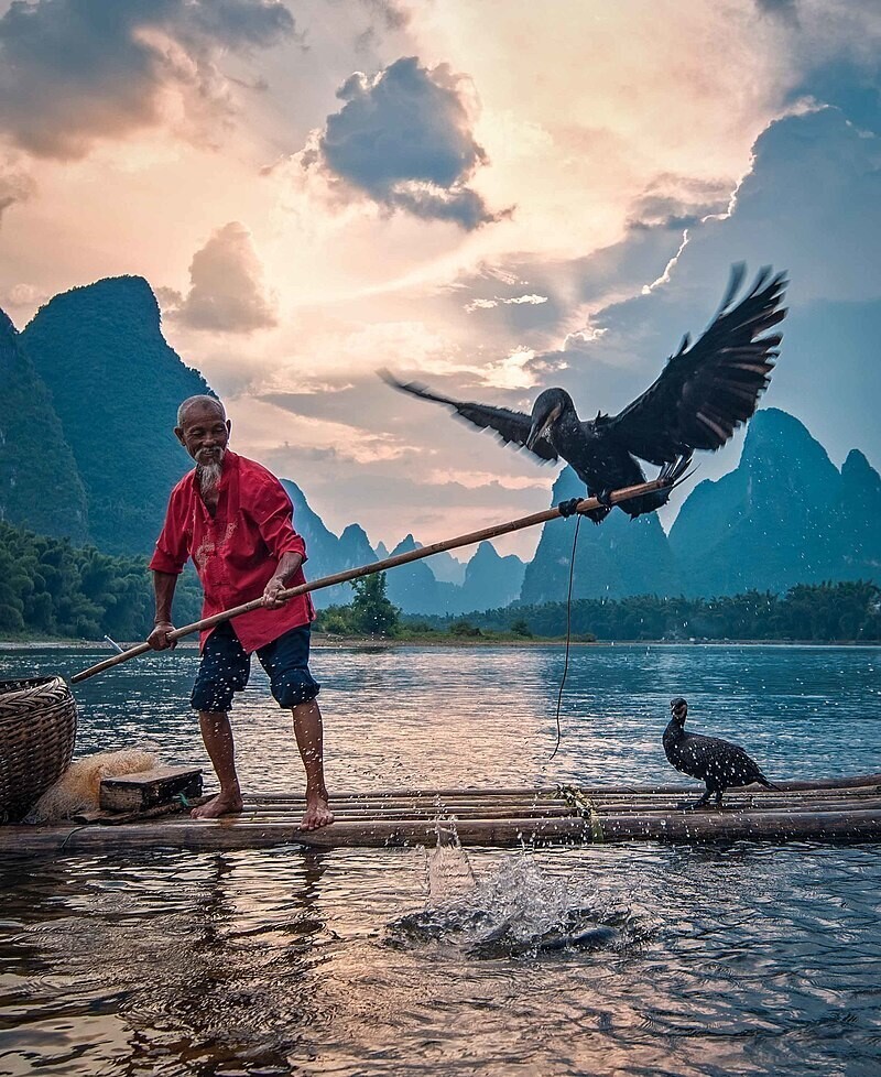 Фото: wikipedia.org Фото: wikipedia.org