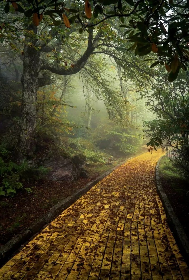 12 снимков из заброшенного парка развлечений, посвященного волшебнику Страны Оз