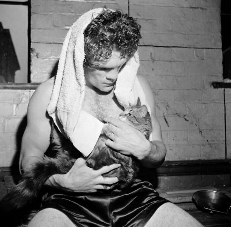 15 винтажных фотографий кошек, которые растопят сердце