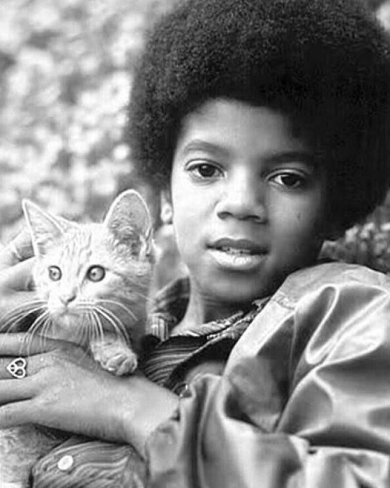 15 винтажных фотографий кошек, которые растопят сердце