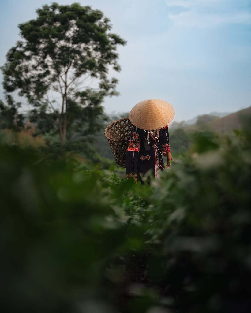 Блог - 15 снимков о том, насколько прекрасны традиционные ремесла Вьетнама 15 снимков о том, насколько прекрасны традиционные ремесла Вьетнама