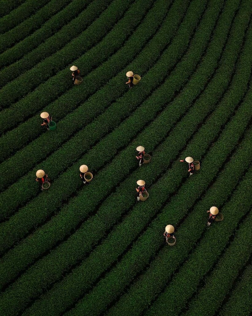 Блог - 15 снимков о том, насколько прекрасны традиционные ремесла Вьетнама 15 снимков о том, насколько прекрасны традиционные ремесла Вьетнама