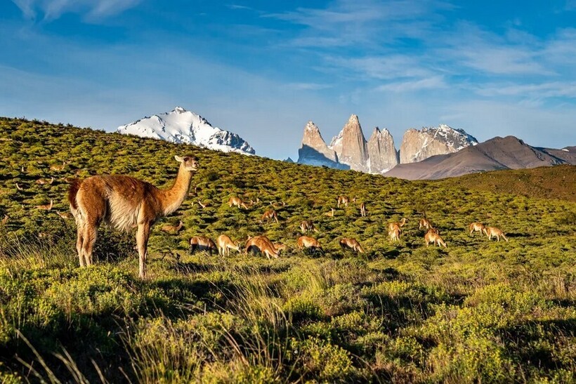 12 кадров чилийской Патагонии: путешествие к краю света