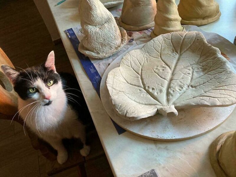 Блог - 15 кошачьих следов, доказывающих, что коты делают, что хотят и где хотят 15 кошачьих следов, доказывающих, что коты делают, что хотят и где хотят