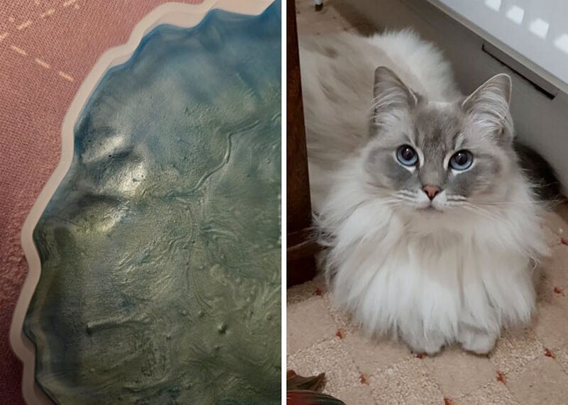 Блог - 15 кошачьих следов, доказывающих, что коты делают, что хотят и где хотят 15 кошачьих следов, доказывающих, что коты делают, что хотят и где хотят