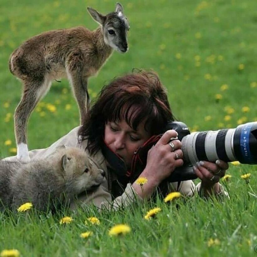 Блог - 15 фотографий животных, которые растопят даже самое холодное сердце 15 фотографий животных, которые растопят даже самое холодное сердце