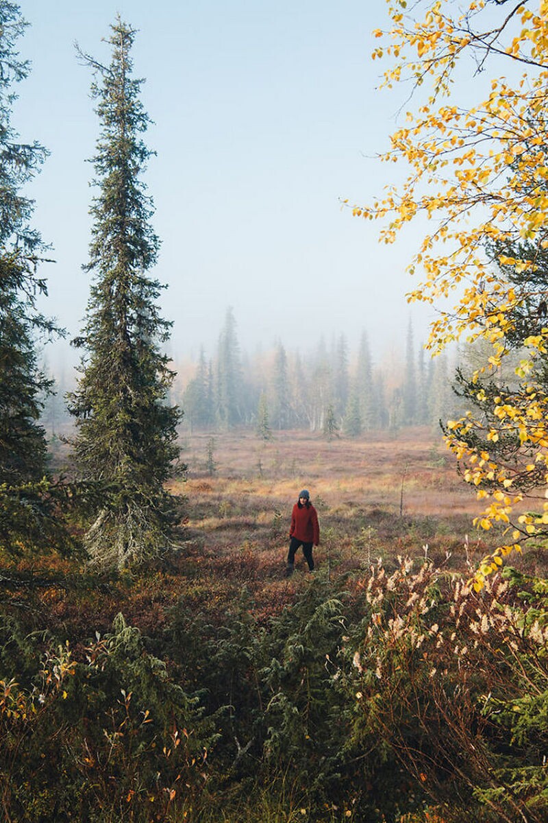 Доказательства, что осень ― особая пора: осенняя Скандинавия от финского фотографа